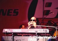 Stevie Wonder 2000<br> Chris Walter