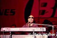Stevie Wonder 2000<br> Chris Walter<br>