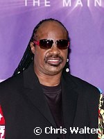 Stevie Wonder<br>at the 2007 BET Awards at the Shrine Auditorium in Los Angeles, June 26th 2007.<br>Photo by Chris Walter/Photofeatures