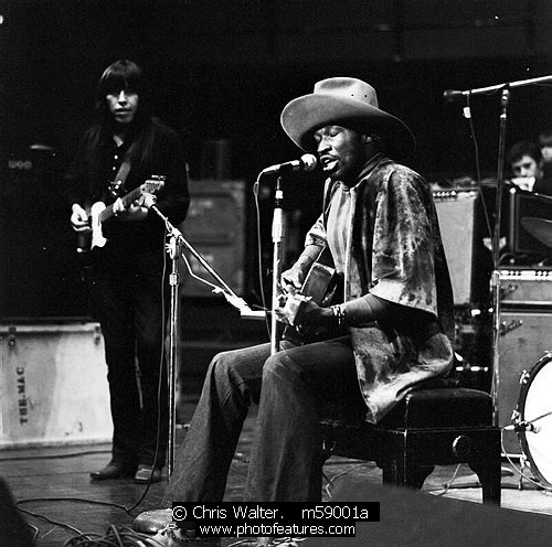 Taj Mahal Classic Rock Photo Archive from Photofeatures and Chris ...