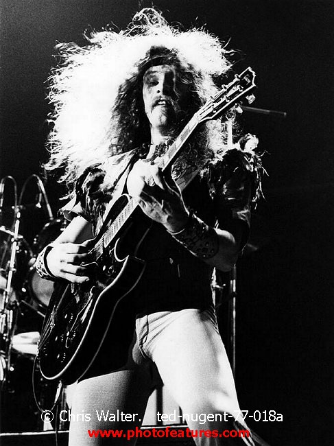 Photo of Ted Nugent for media use , reference; ted-nugent-77-018a,www.photofeatures.com