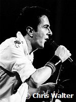 The Clash 1979 Joe Strummer<br> Chris Walter<br>