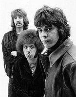 Photo of The Gun 1968 Adrian Gurcitz, Paul Gurvitz and Louis Farrell<br> Chris Walter<br>