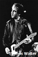 The Who 1982 Pete Townshend at LA Coliseum<br> Chris Walter<br>