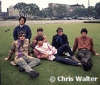 The Turtles 1967 in London's Hyde Park<br> Chris Walter<br>