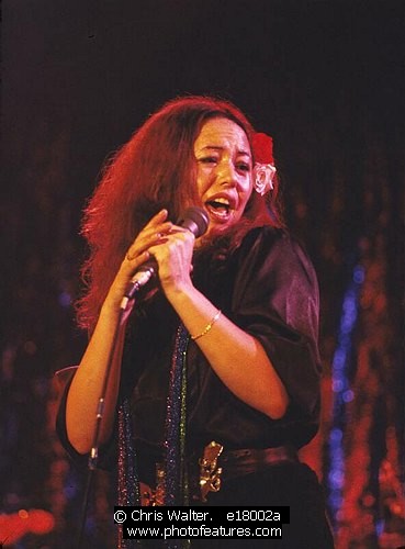 Photo of Yvonne Elliman by Chris Walter , reference; e18002a,www.photofeatures.com